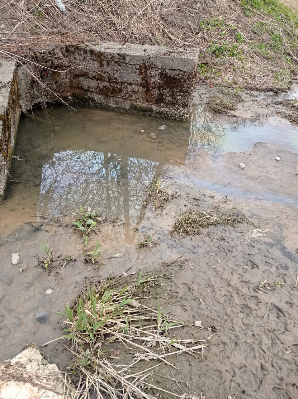 Росприроднадзор по СЗФО обнаружил источник сброса загрязненных вод в Неву во Всеволожском районе Ленинградской области