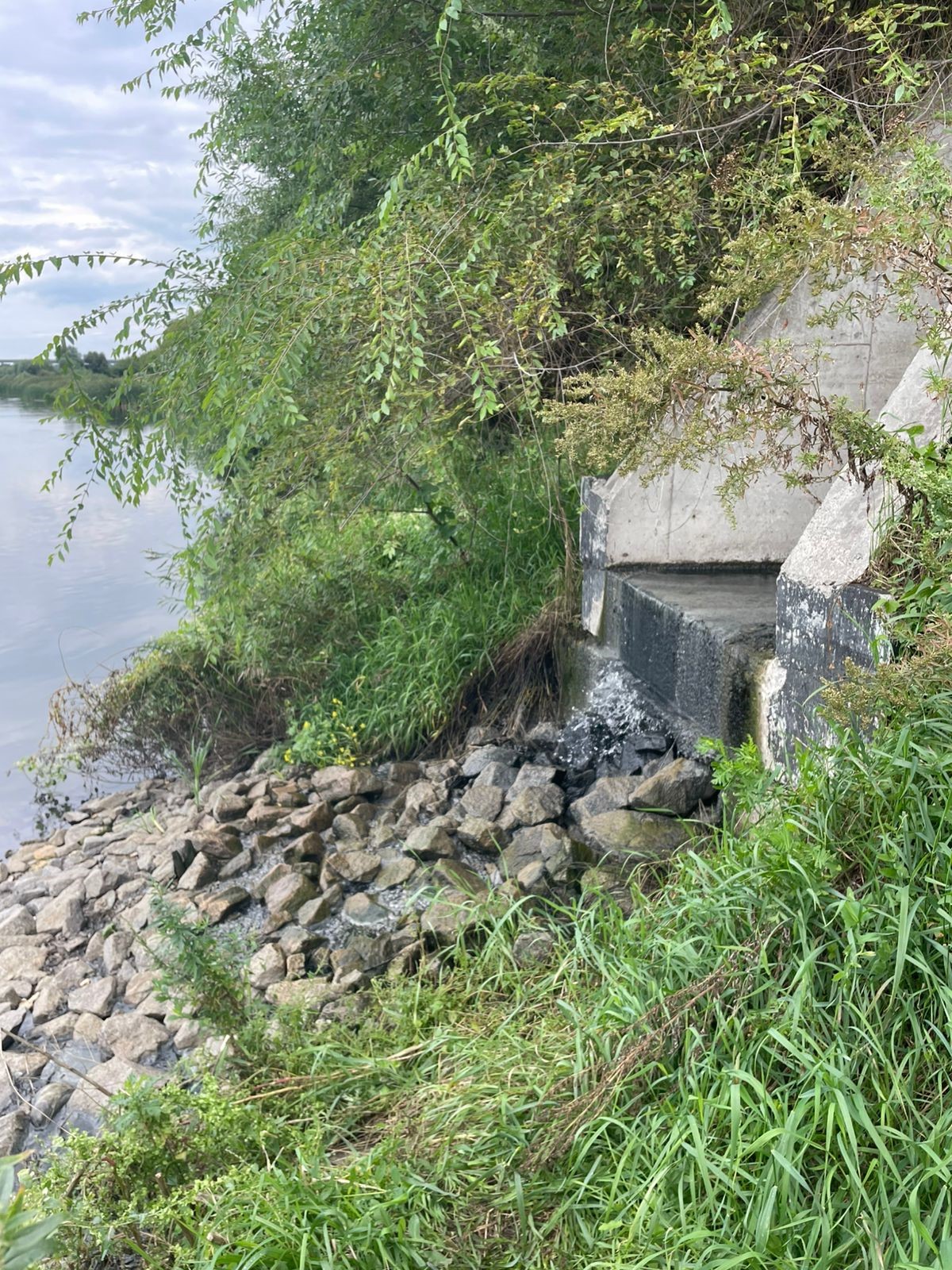 В Воронежской области инспекторы Центрально-Черноземного управления Росприроднадзора выявили повторные нарушения в деятельности ООО «Лайт Сквер» 