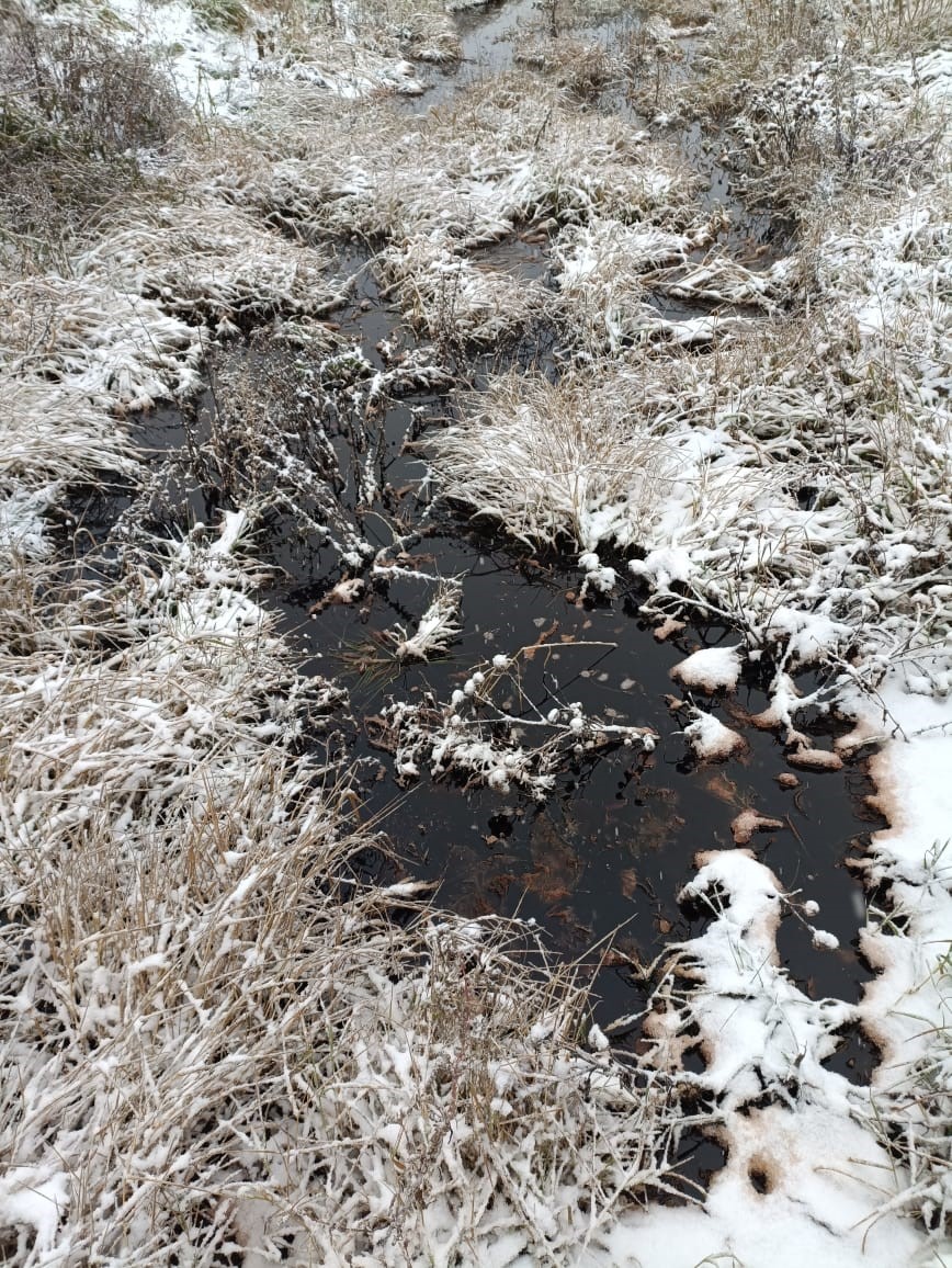 ООО «Меридиан» по решению Арбитражного суда Свердловской области заплатит 1,7 млн рублей за вред, причиненный почвам, в результате разлива концентрата формальдегида