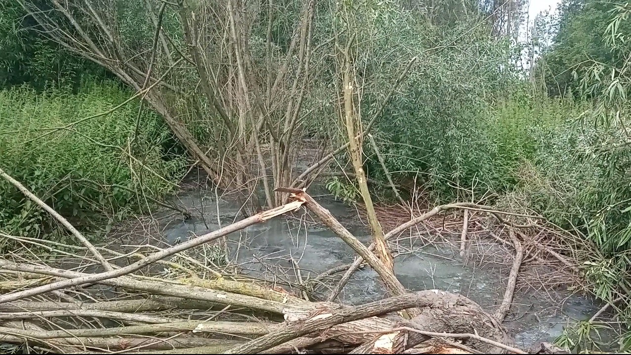  В Кировской области Росприроднадзор требует от ООО "Биоканал"  возместить почти 5 миллионов рублей за нанесенный вред почве  