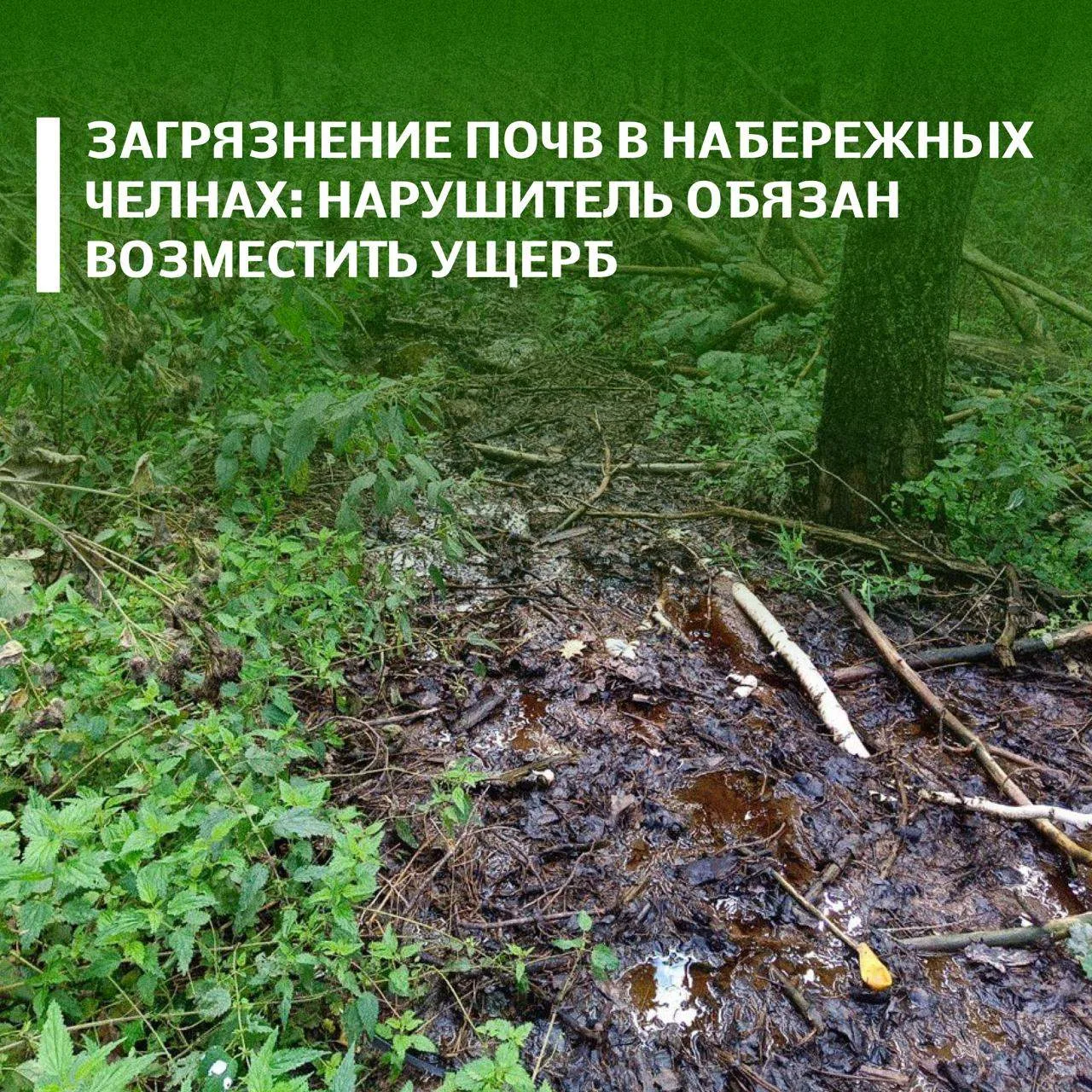 Суд удовлетворил иск Росприроднадзора к Исполнительному комитету города Набережные Челны на 1,3 млн рублей 