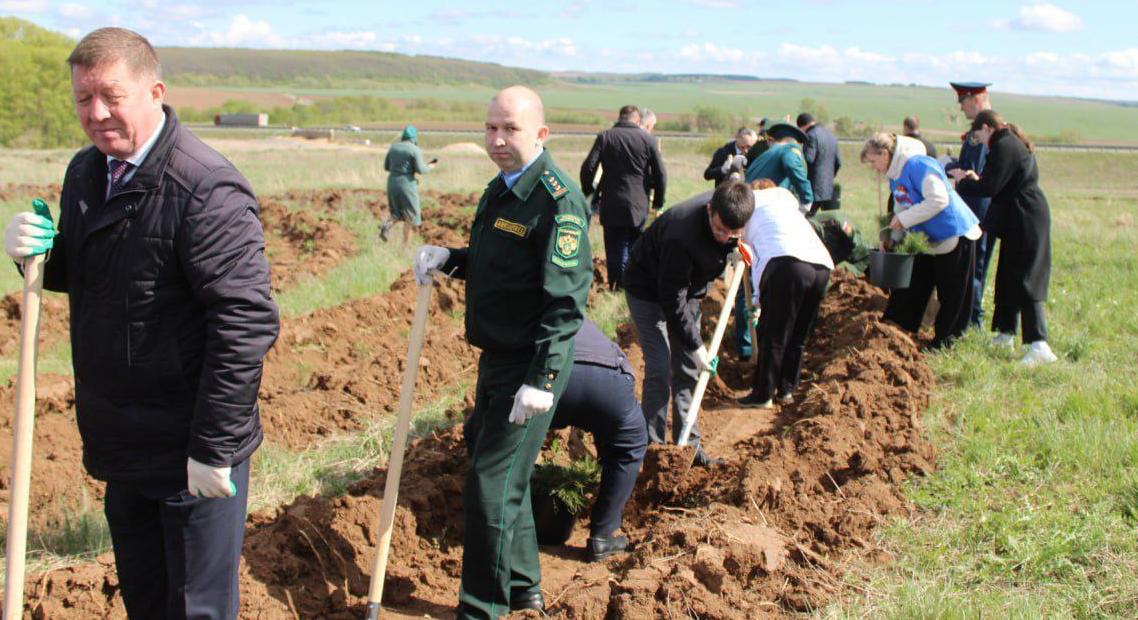 Сотрудники Управления Росприроднадзора по Чувашской Республике присоединились к акции «Сад памяти»
