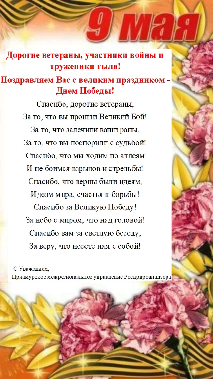 Приамурское межрегиональное управление Росприроднадзора поздравляет ветеранов, участников войны и тружеников тыла с великим праздником - Днем Победы!