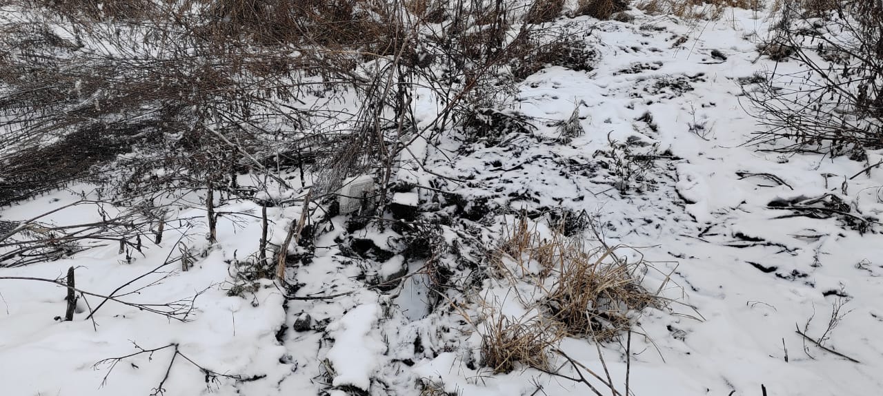 Приамурское межрегиональное управление Росприроднадзора обратилось в суд с иском о возмещении вреда. 