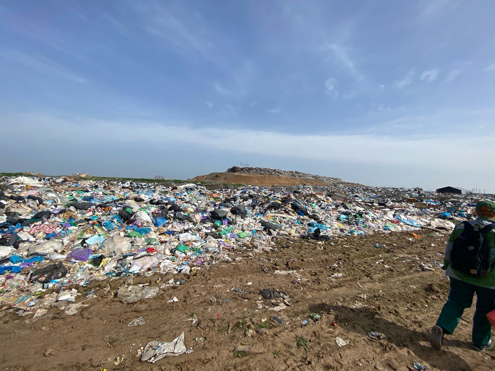 Росприроднадзор обратился в суд с иском к ООО «Спецавтохозяйство» о взыскании более 19 млн рублей за причинённый вред почве