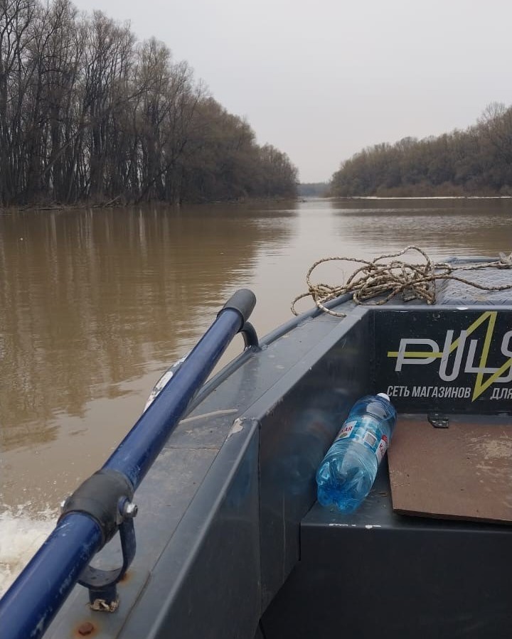 В Алтайском крае Росприроднадзор проводит мероприятия по охране водных биологических ресурсов, занесенных в Красную книгу