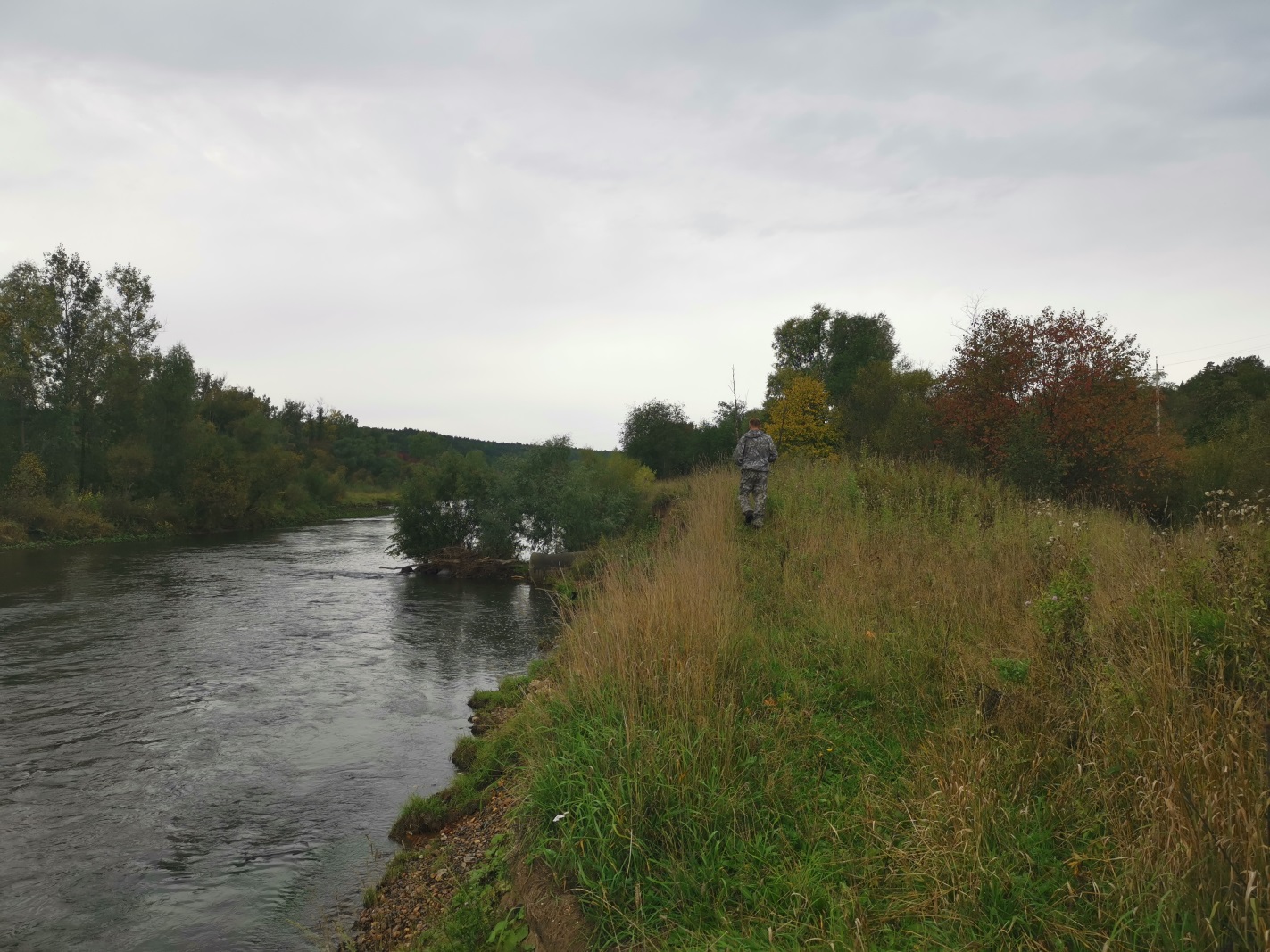 Инспекторы Росприроднадзора провели проверку береговой линии реки Уфа