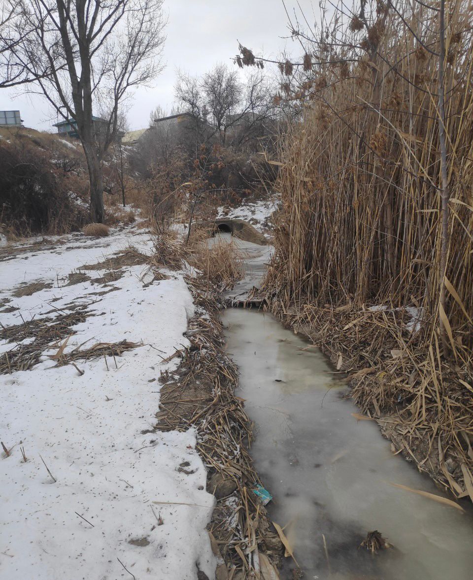 Администрация города Камышин оштрафована за нарушение правил водопользования