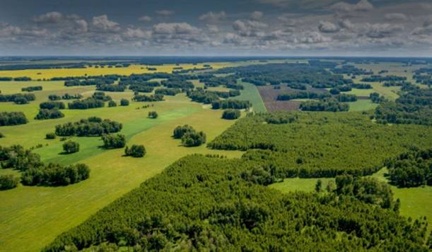 Якутская природоохранная прокуратура разъясняет о существенном изменении законодательства в сфере использования, охраны, защиты, воспроизводства лесов, расположенных на землях сельскохозяйственного назначения