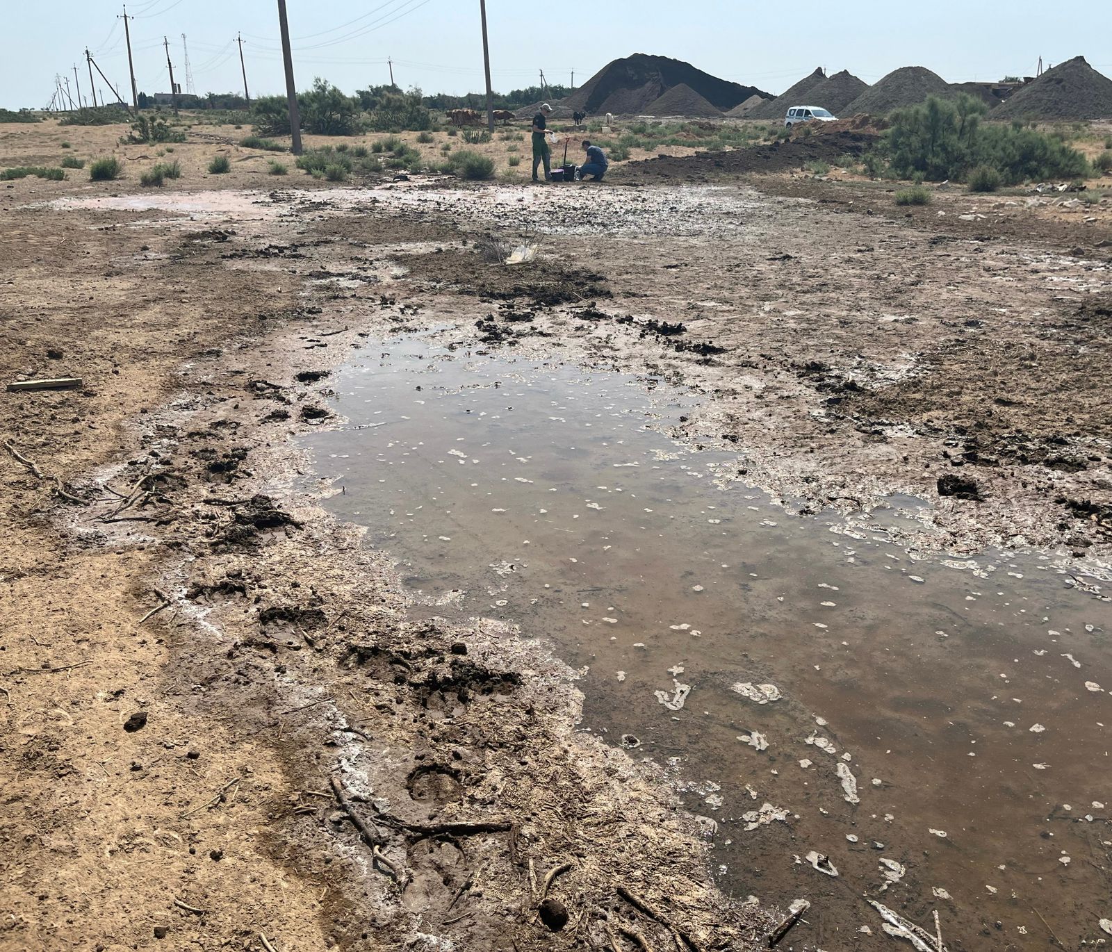 Росприроднадзором выявлен факт загрязнения почвы вблизи поселка Прикаспийский Астраханской области