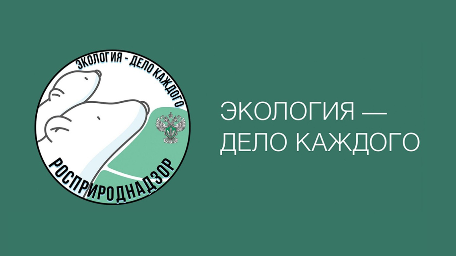 Дети и подростки из Камчатского края стали призерами III премии Росприроднадзора