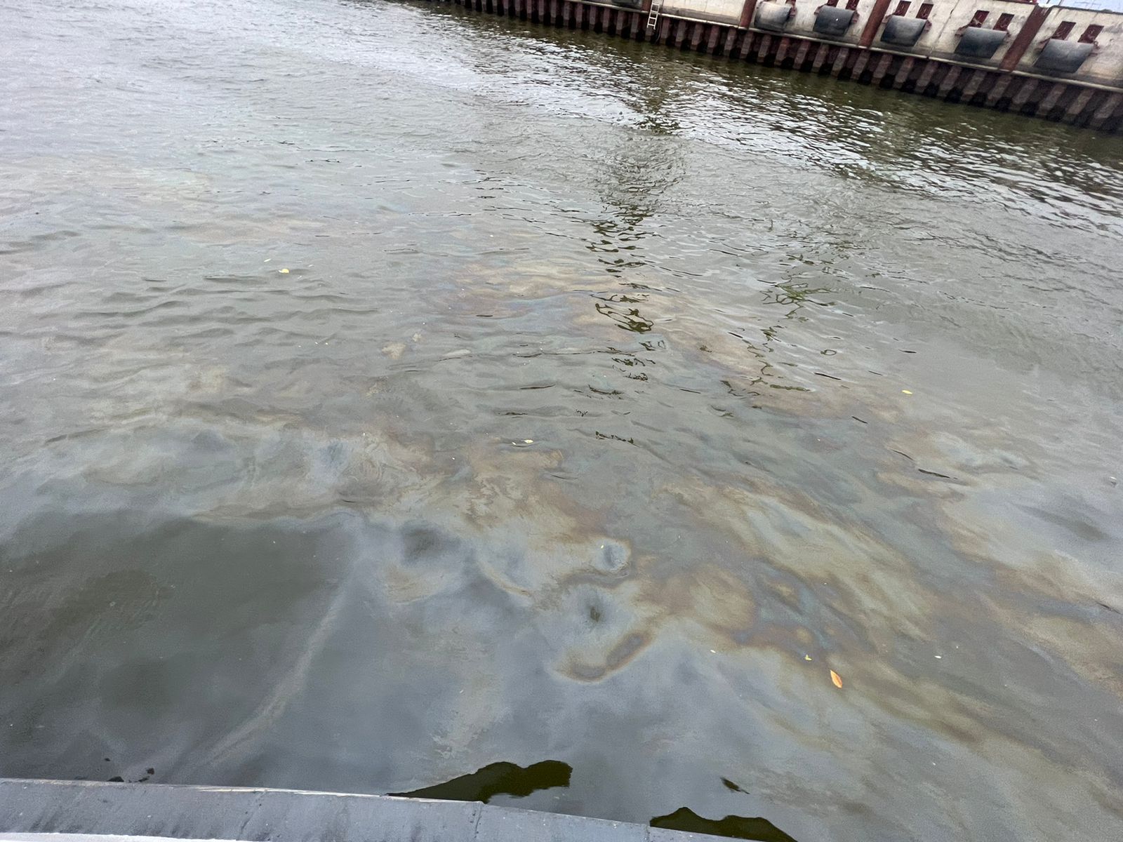 Росприроднадзором в Астраханской области установлено загрязнение акватории в границах порта Оля