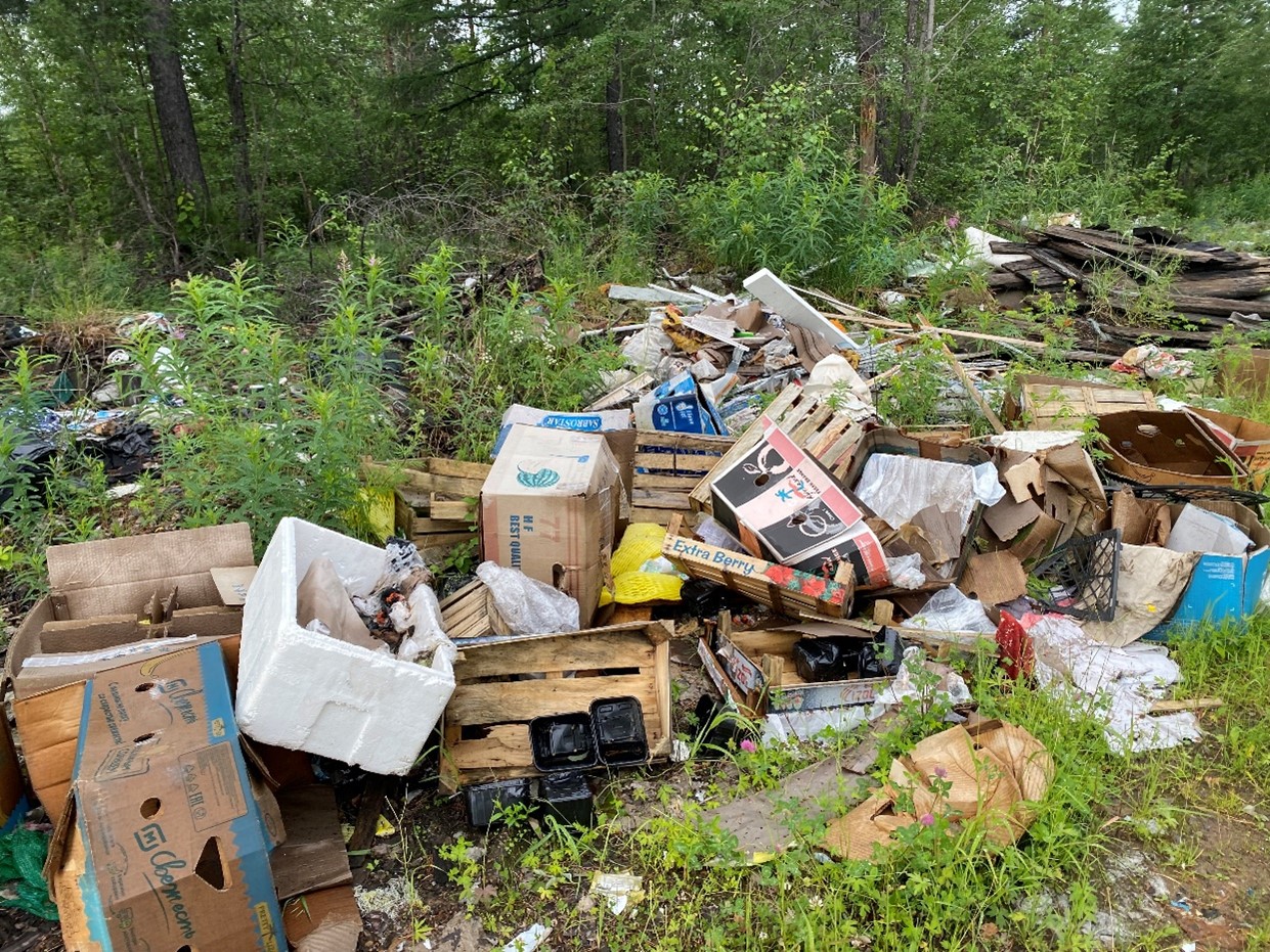 Добиваемся оплаты вреда, причиненного почвам в Алданском районе Республики Саха (Якутия) в размере более 65 млн. рублей