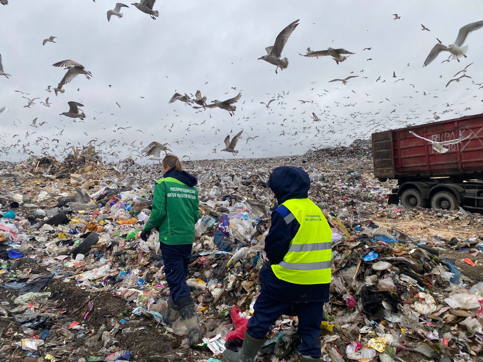 Росприроднадзор по СЗФО внепланово проверяет полигоне ТКО «Новый Свет-Эко»