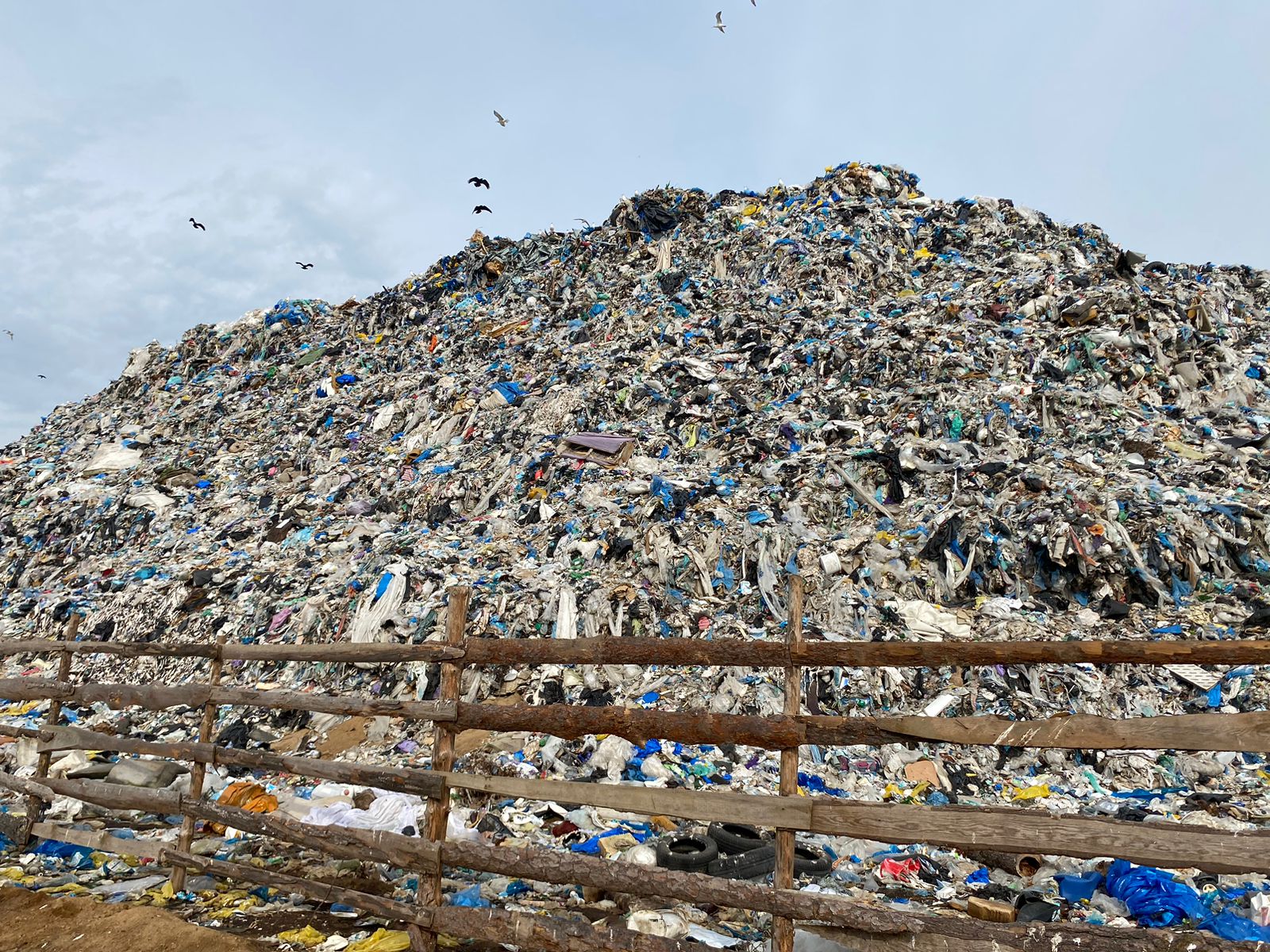 Решение суда о закрытии полигона вблизи поселка Ельняки в Калининградской области вступило в законную силу 