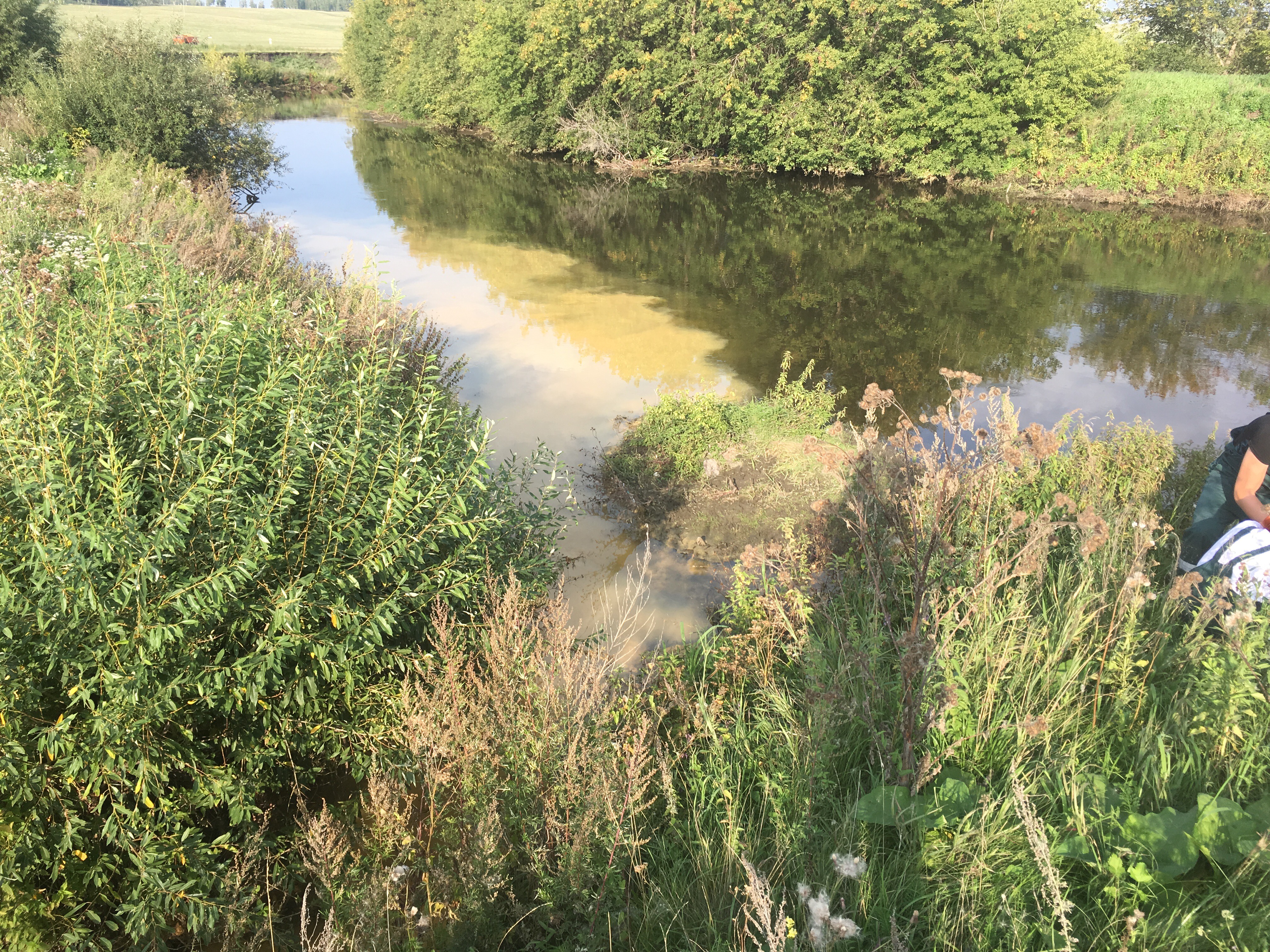 Инспекторы Уральского Росприроднадзора обнаружили сброс загрязняющих веществ в реку Миасс