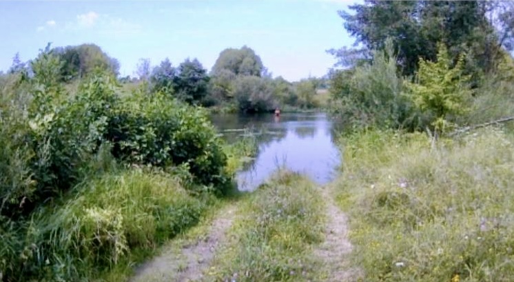 Во время проведения выездного обследования акватории и водоохранной зоны реки Кшень в Ливенском районе Орловской области нарушений не зафиксировано