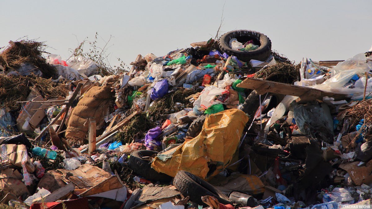  Крупная свалка в Пензенской области будет ликвидирована