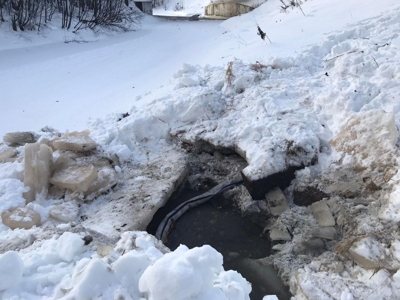 Инспекторы Росприроднадзора осмотрели реку Сестра в Курортном районе Петербурга после сообщений о ДТП с бензовозом