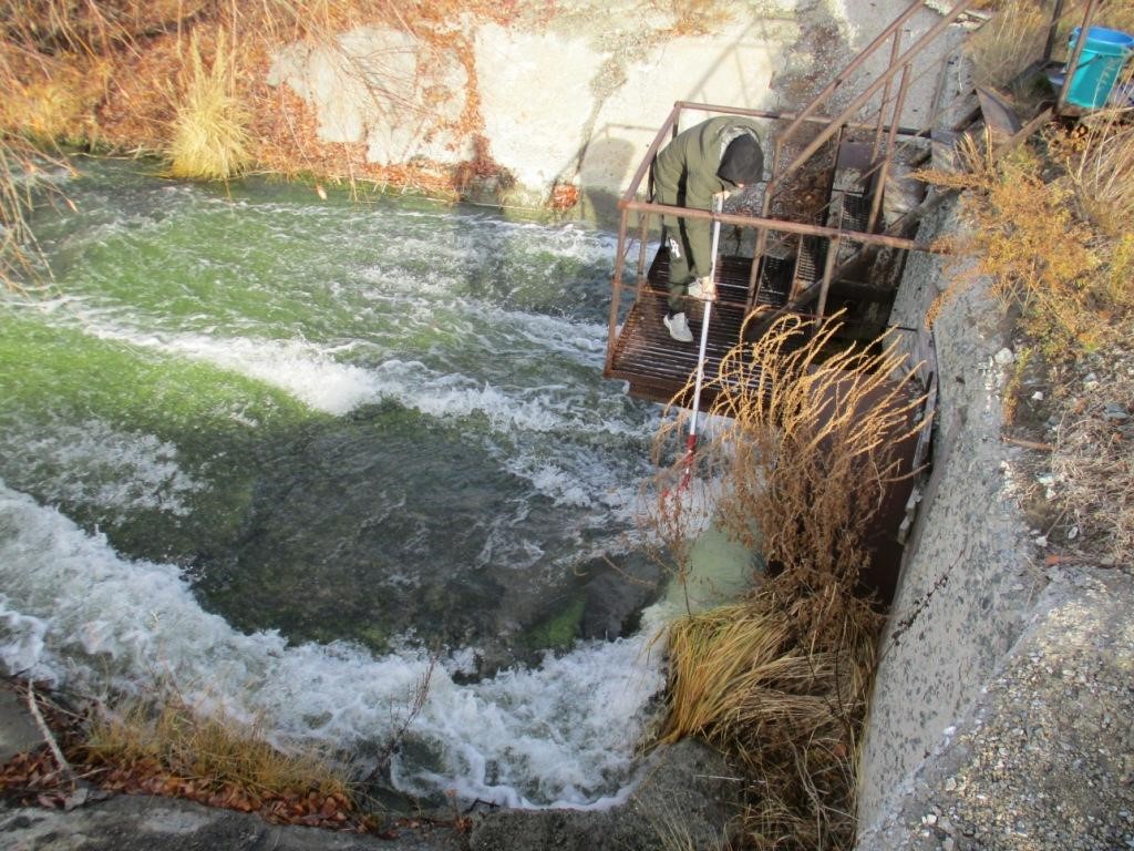 Уральским межрегиональным управлением Росприроднадзора проведена внеплановая проверка в отношении АО «Водный Союз»