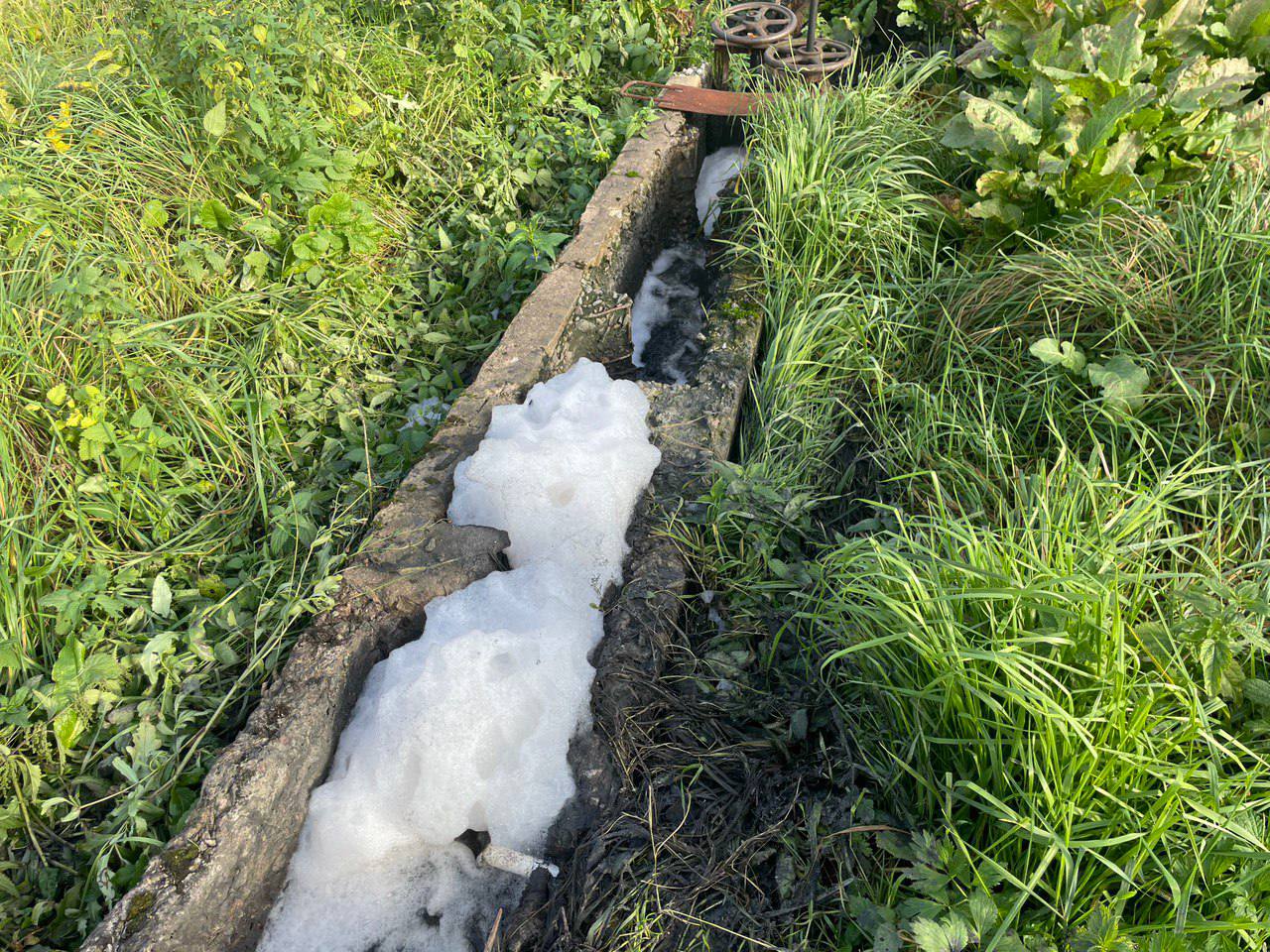 СЗМУ Росприроднадзора оштрафовало ГУП «Леноблводоканал» за загрязнение коммунальными стоками реки Хейная в Ленинградской области