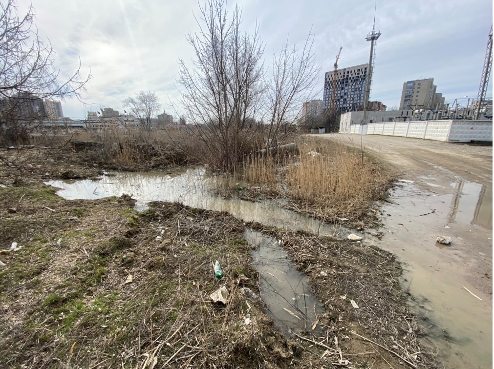 Суд поддержал требования Росприроднадзора к ООО «Управляющая Компания «ВОЛГОСИТИ ХОУМ» о возмещении вреда почвам, в размере более 1 млн рублей