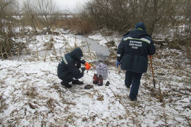 Росприроднадзор выявил факт излива сточных вод в районе озера Ильинское Тверской области