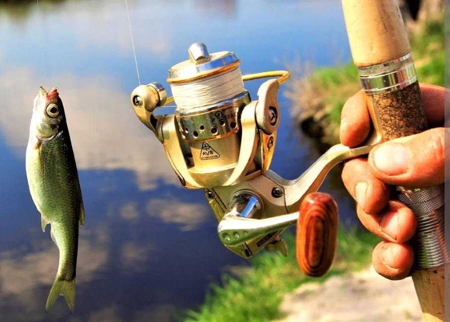 Росприроднадзор  в честь празднования  Дня действий против рыбной ловли призывает граждан ограничить вылов обитателей рек и морей