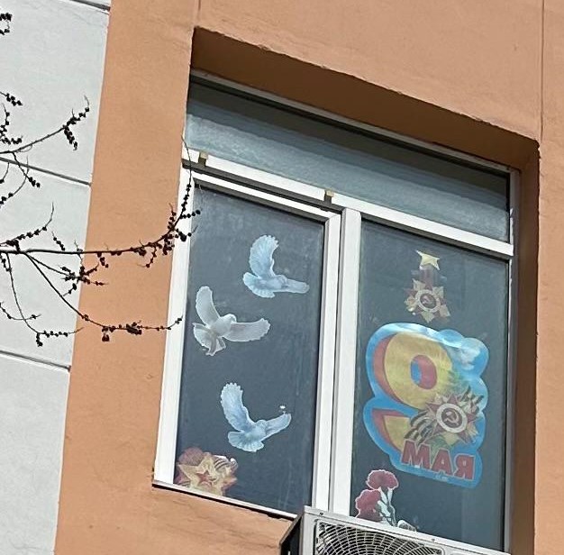 Приамурское межрегиональное управление Росприроднадзора приняло участие в патриотической Всероссийской акции «Окна Победы»