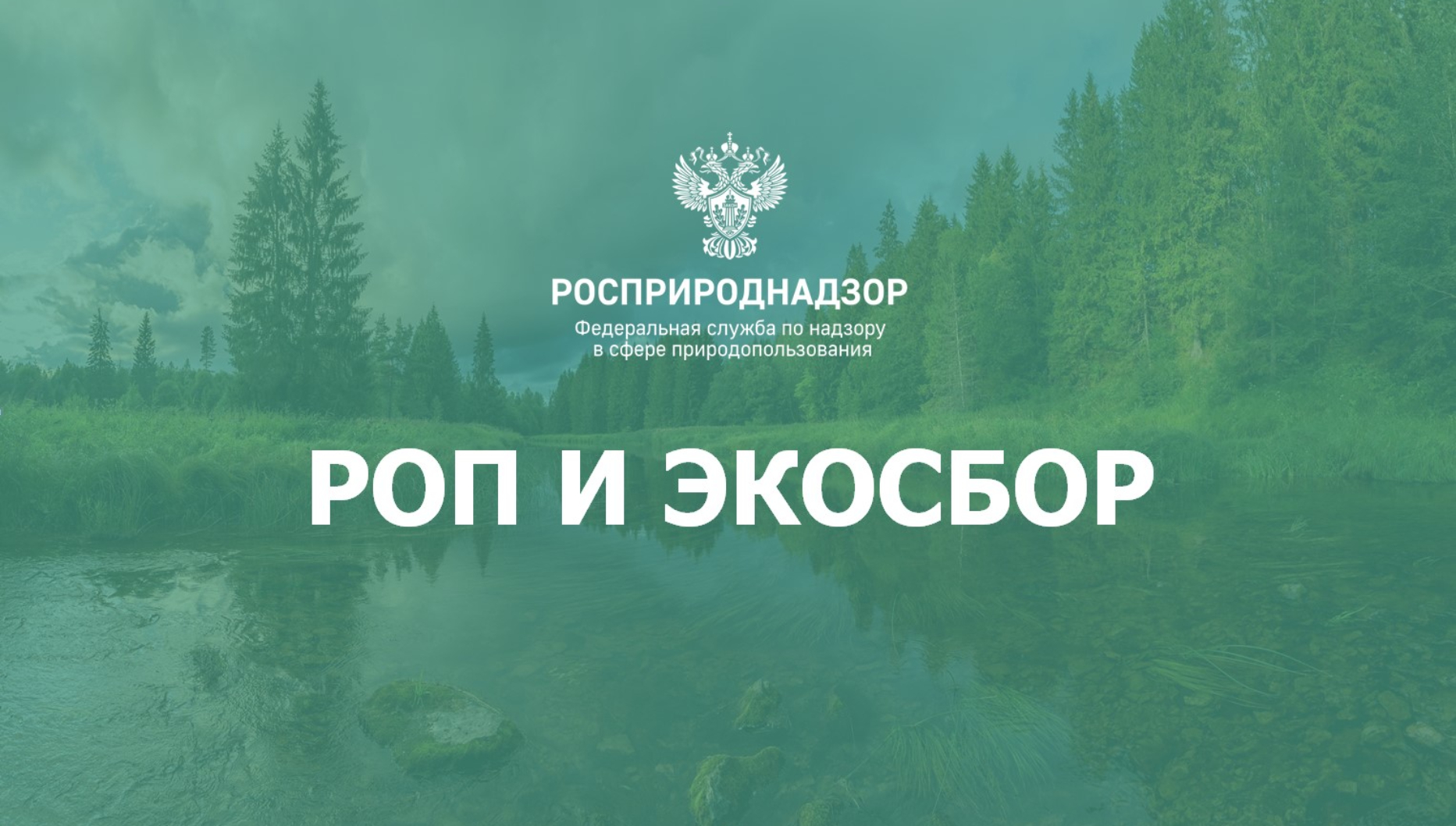О расширенной ответственности природопользователей в 2025 году