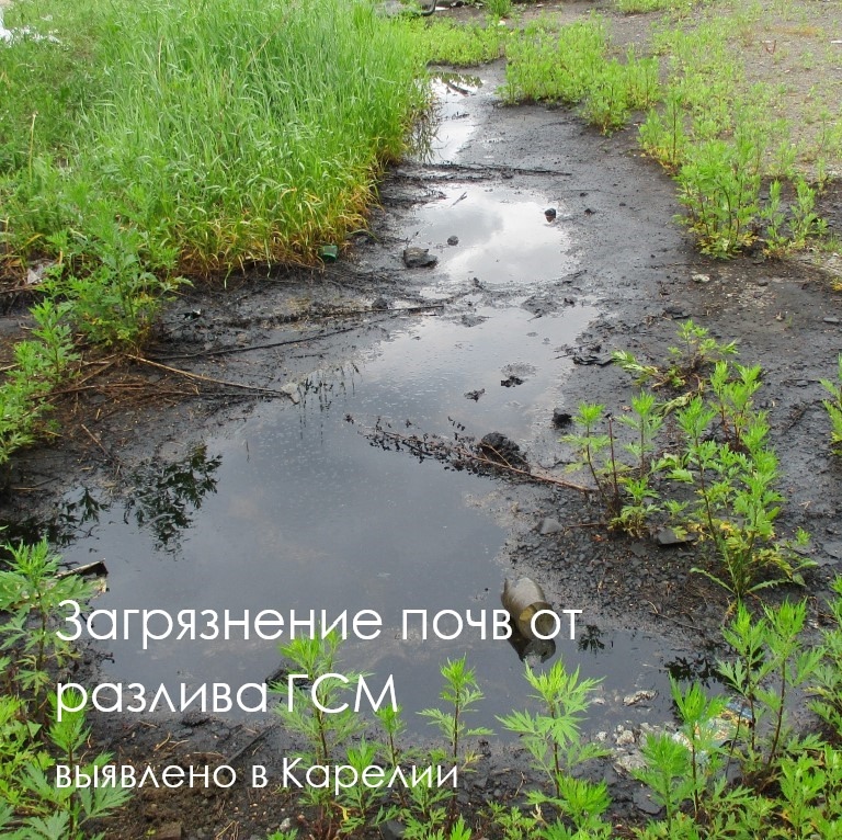 Инспекторы Балтийско-Арктического межрегионального управления Росприроднадзора провели выездное обследование по факту разлива горюче-смазочных материалов на территории Республики Карелия