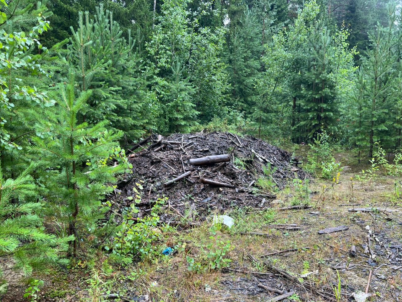 Уральское управление Росприроднадзора продолжает работу в рамках федерального проекта «Генеральная уборка»