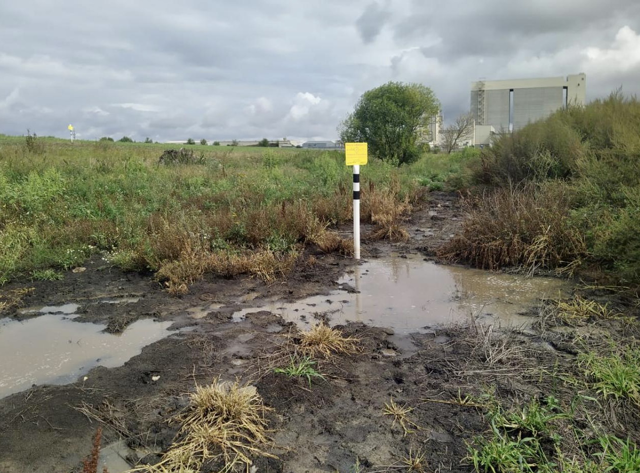 По результатам выездного обследования территории, расположенной в МО г. Ефремов в 500м по направлению на восток от д. Иноземка, обнаружены нарушения