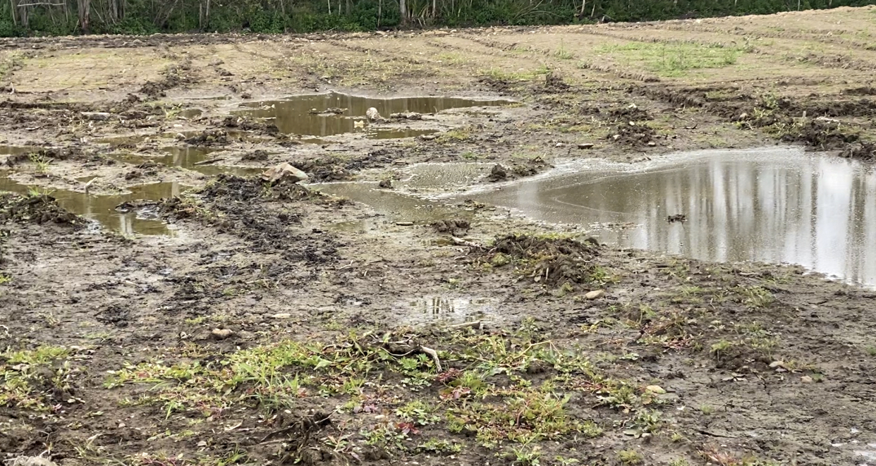 СЗМУ Росприроднадзора провело выездное обследование в Лужском районе Ленинградской области