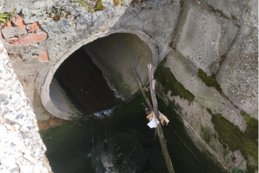 АО «Агрофирма Ольдеевская» возместило вред, причиненный р. Кукшум