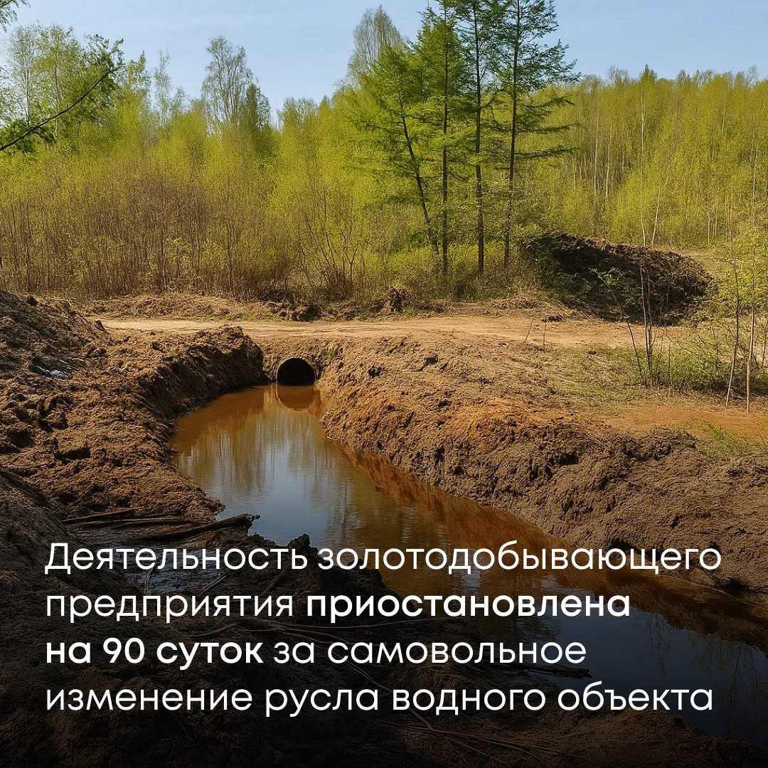 Облученский районный суд ЕАО приостановил деятельность ООО «Малахит» на 90 суток.