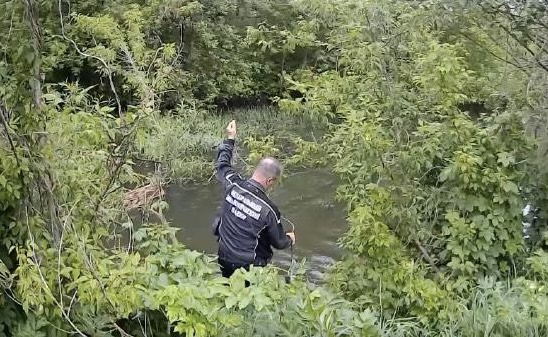 По результатам исследований проб природной воды и почвы вблизи реки Цон в Орловской области превышения концентраций загрязняющих веществ не выявлено