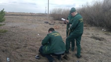 Уральским межрегиональным управлением Росприроднадзора проведено выездное обследование снегосвалки в г. Шадринске
