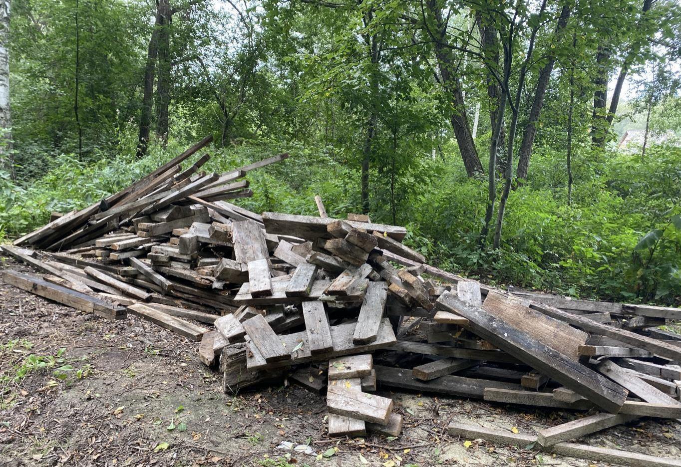 После обращения Росприроднадзора проведены работы по устранению свалки в г. Пенза