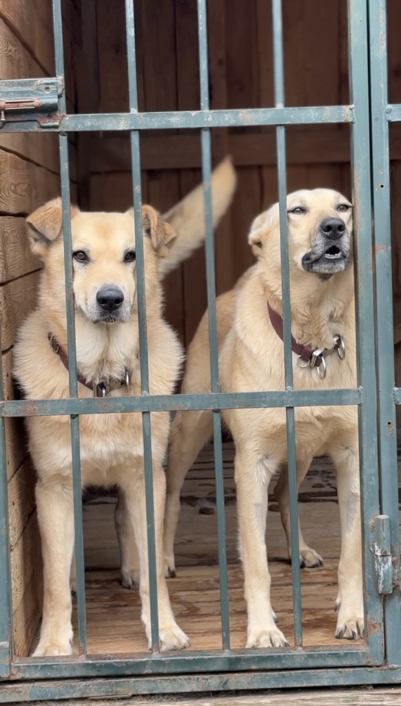 fa5c7f7d-2247-4618-8b5d-884e6d90561c.png fa5c7f7d-2247-4618-8b5d-884e6d90561c.png