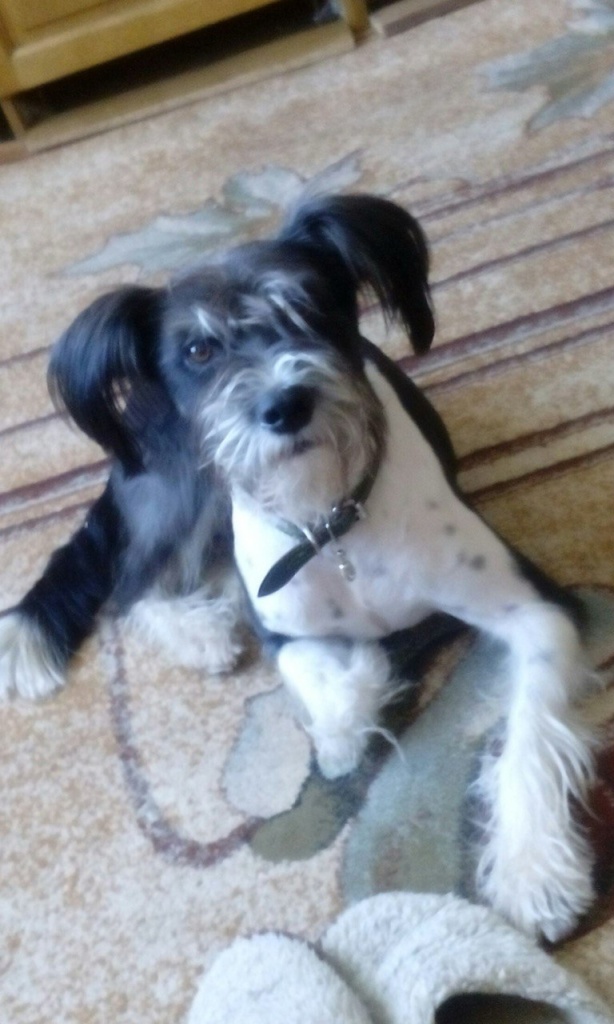 56f4e64f-3534-4e20-8cf8-71044648aaf1.jpg 56f4e64f-3534-4e20-8cf8-71044648aaf1.jpg