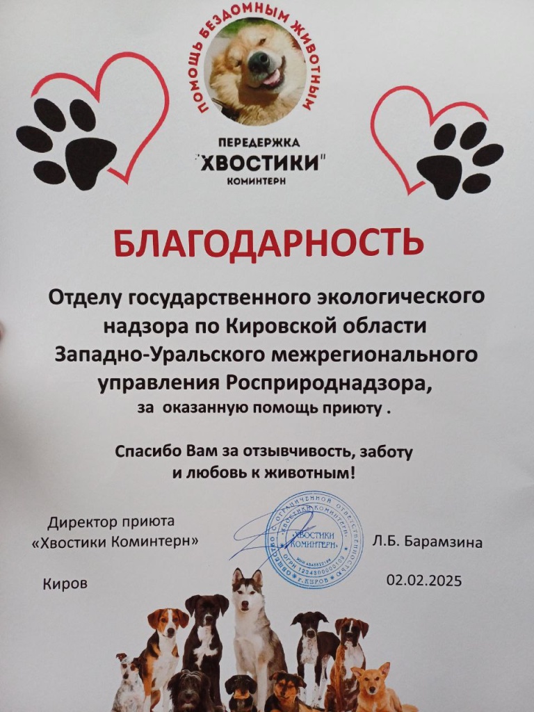 Приют фото-4.jpg