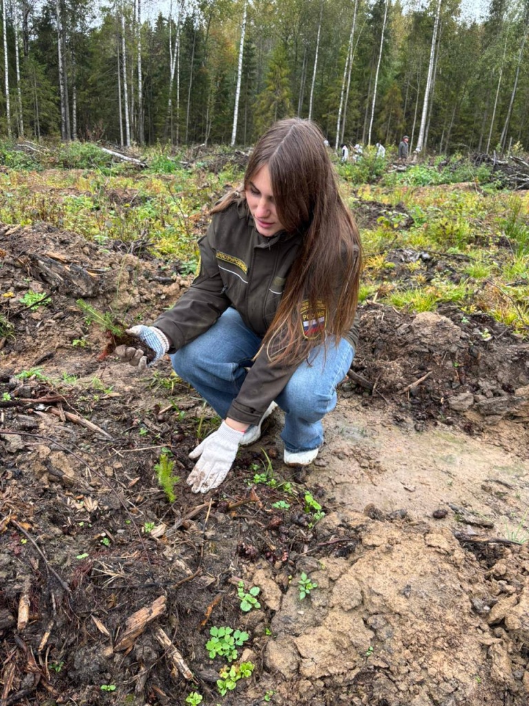 2181d871-1c7f-44cc-8cad-a7449ceca2d4.jpg 2181d871-1c7f-44cc-8cad-a7449ceca2d4.jpg