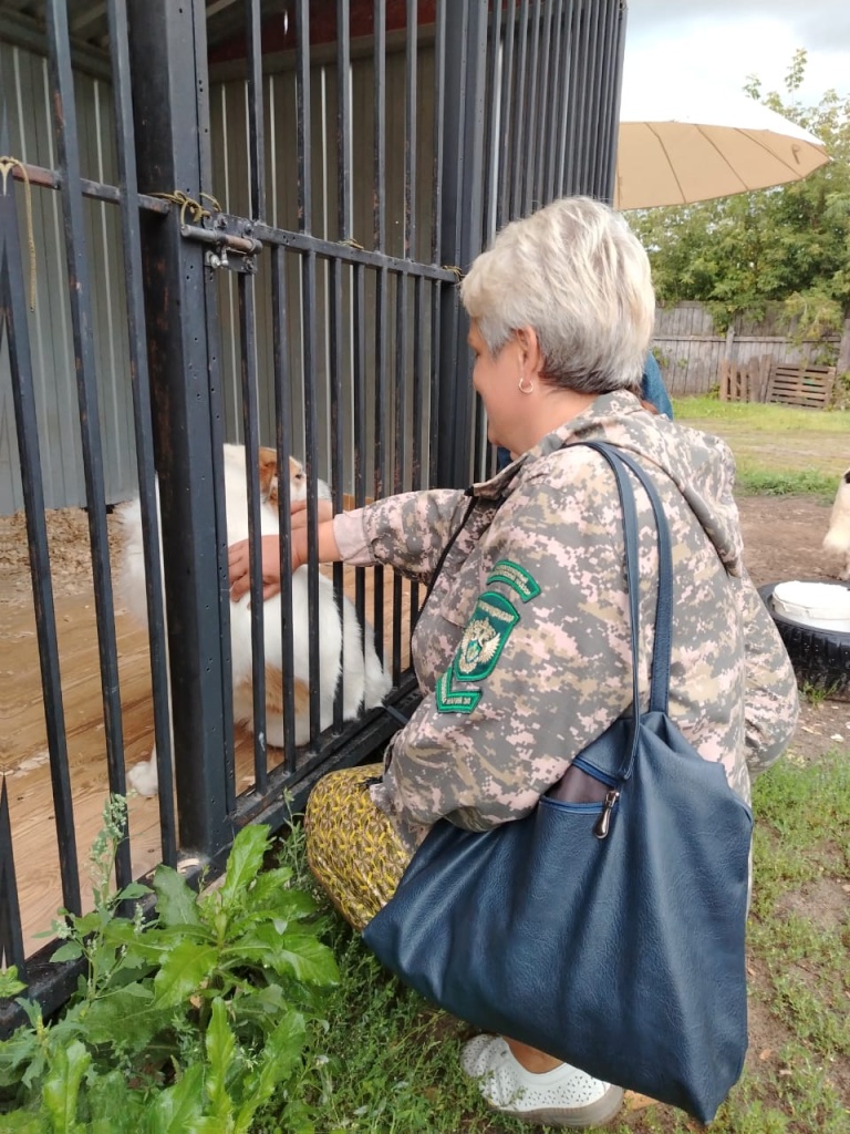 WhatsApp Image 2025-08-15 at 12.58.12.jpeg