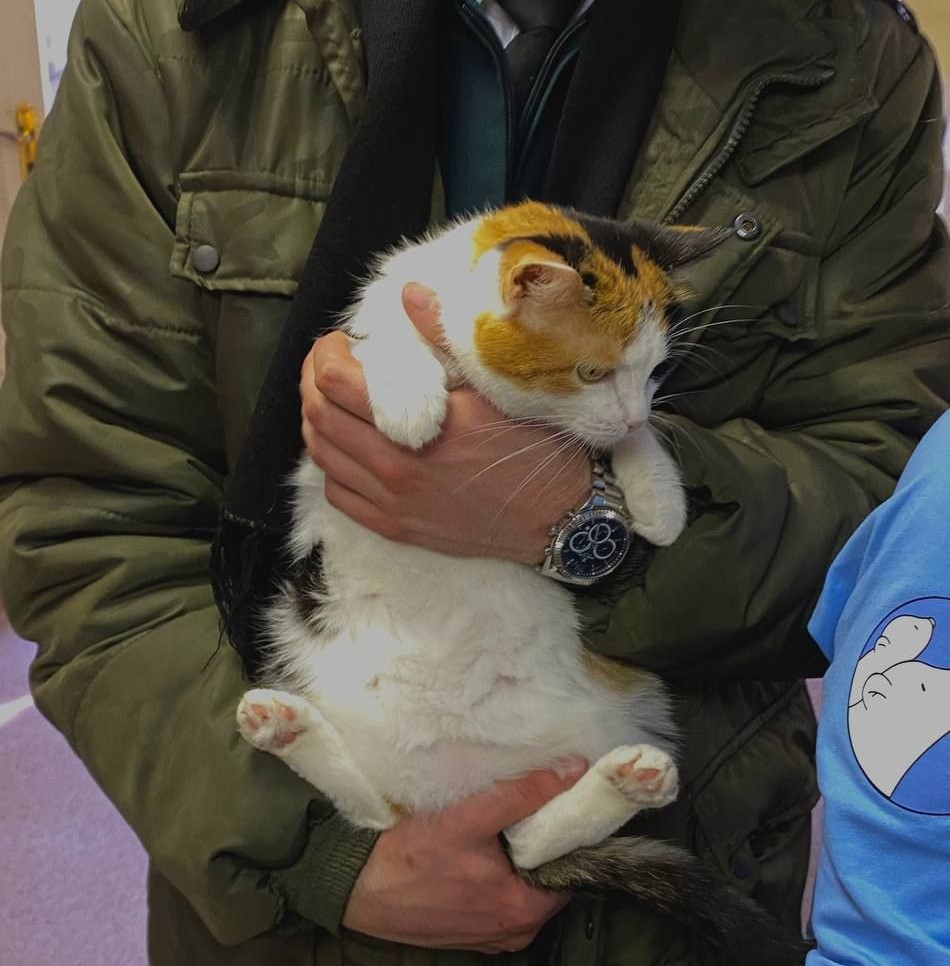 Кош-4.jpg