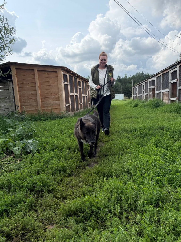 dd65f9b4-5613-47fd-8d30-be8aee4d7fd3.jpg dd65f9b4-5613-47fd-8d30-be8aee4d7fd3.jpg