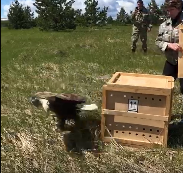 Ордан-4.png