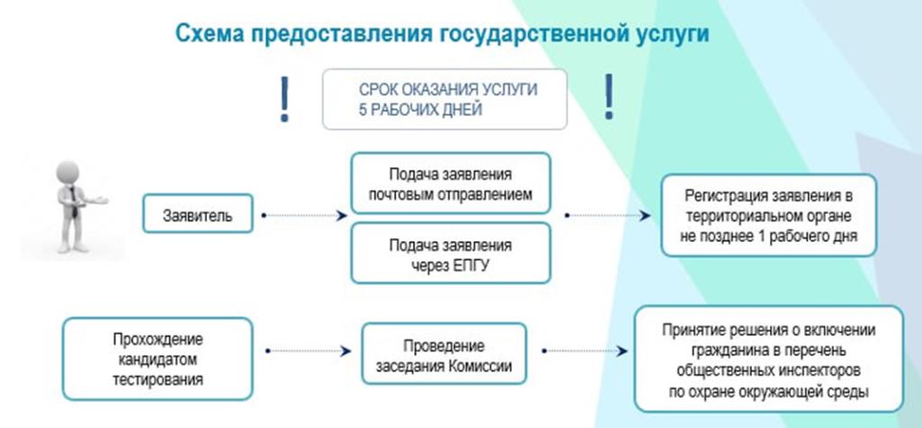 О предоставлении услуги.jpg