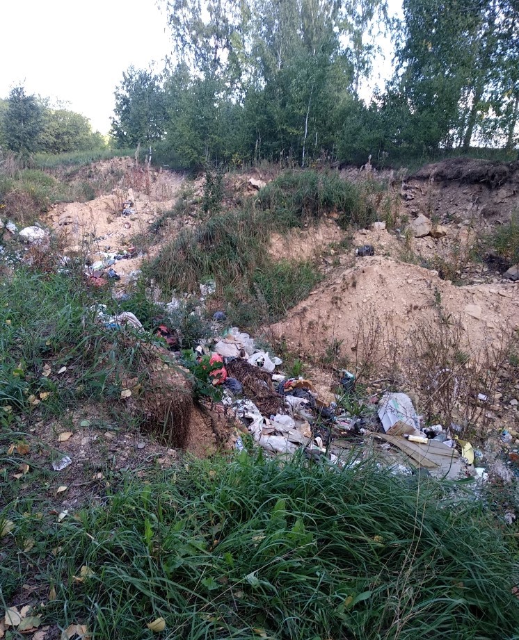 Биргильда - 2 -2.jpg Биргильда - 2 -2.jpg