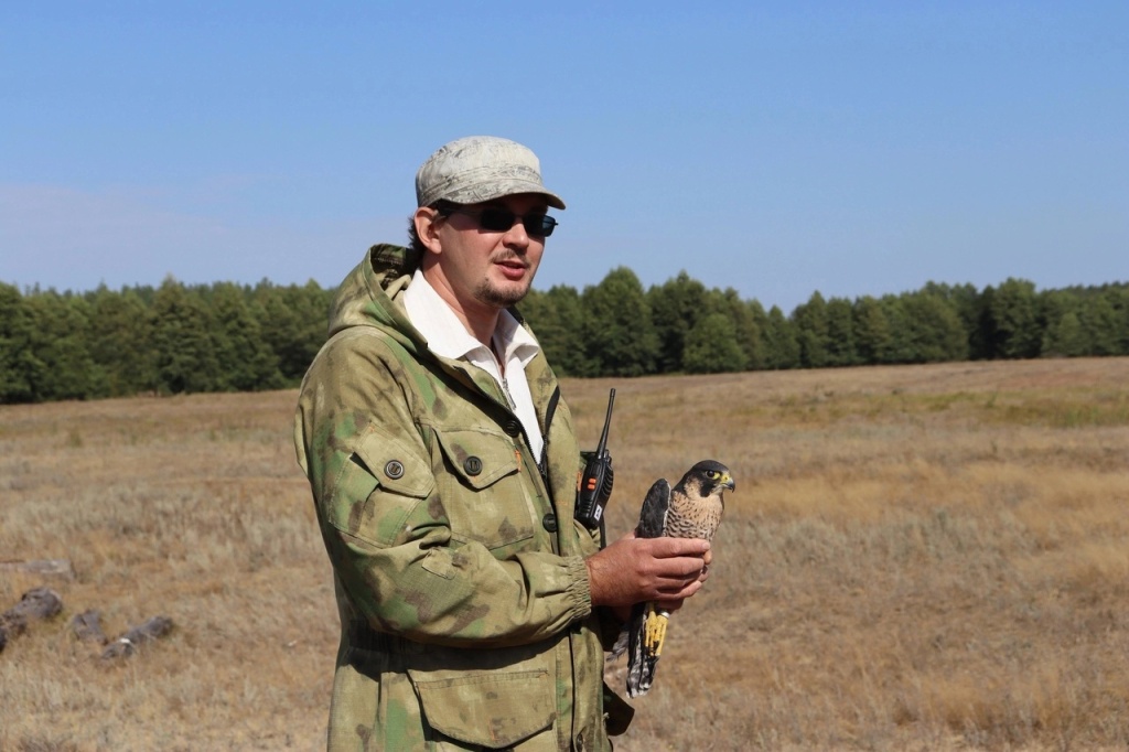 Сап Т-2.jpg Сап Т-2.jpg